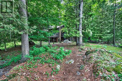 3 Scott Island, Rideau Lakes, ON 