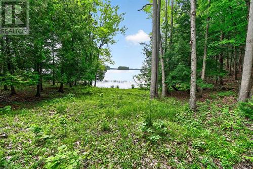 3 Scott Island, Rideau Lakes, ON 