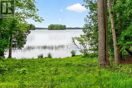 3 Scott Island, Rideau Lakes, ON 
