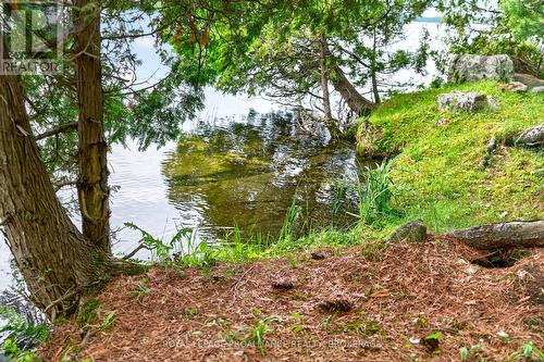 3 Scott Island, Rideau Lakes, ON 