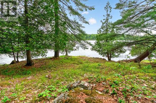 3 Scott Island, Rideau Lakes, ON 