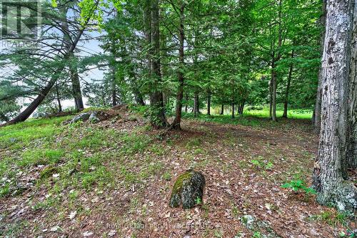 3 Scott Island, Rideau Lakes, ON 
