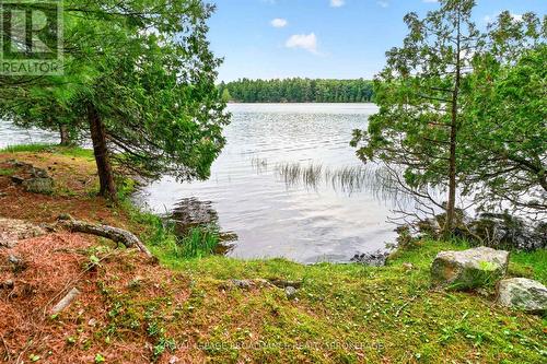 3 Scott Island, Rideau Lakes, ON 
