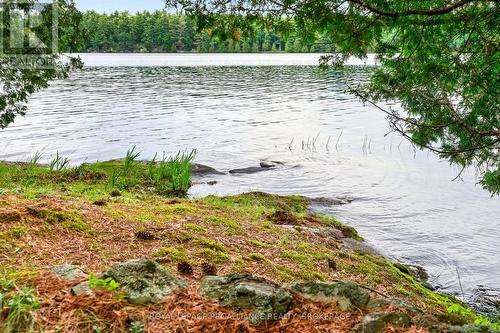 3 Scott Island, Rideau Lakes, ON 
