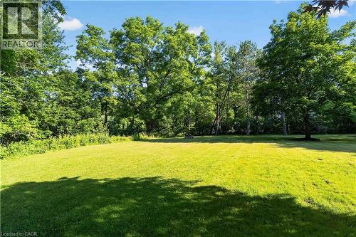 Expansive green lawn surrounded by mature trees and natural foliage - 1629 Gregory Road, St. Catharines, ON 