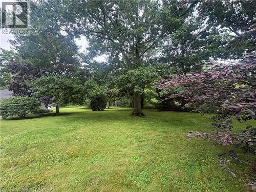 Yard - 1629 Gregory Road, St. Catharines, ON 