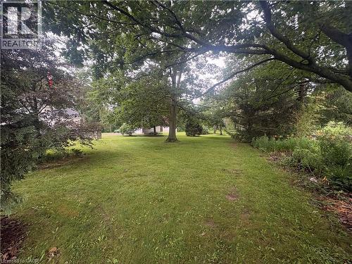 Expansive green lawn with mature trees and established landscaping - 1629 Gregory Road, St. Catharines, ON 