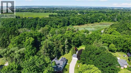 Expansive property featuring a private driveway, mature tree canopy, and a natural wetland area - 1629 Gregory Road, St. Catharines, ON 
