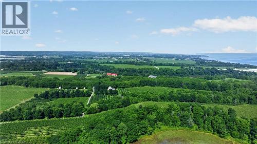 Expansive rural landscape featuring lush green fields, mature tree lines, and distant water - 1629 Gregory Road, St. Catharines, ON 