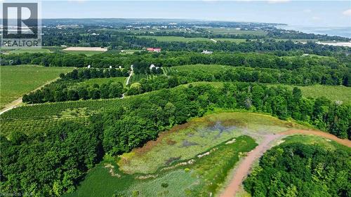 Expansive rural landscape featuring extensive tree cover, cultivated land, and a body of water - 1629 Gregory Road, St. Catharines, ON 