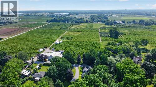 Expansive agricultural landscape featuring rows of cultivated crops and numerous mature trees - 1629 Gregory Road, St. Catharines, ON 