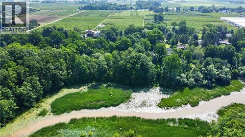 Expansive treeline bordering a waterway, with agricultural fields in the background - 1629 Gregory Road, St. Catharines, ON 
