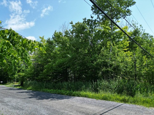 Terre/Terrain - Rue De La Sterne, Magog, QC 