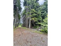 193 ELDERBERRY STREET  Kitimat, BC V8C 0A1