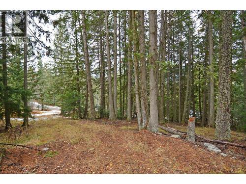 Lot 1 Bedford Road, Nelson, BC 