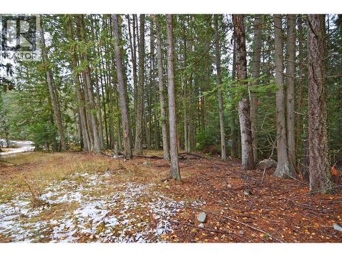 Lot 1 Bedford Road, Nelson, BC 
