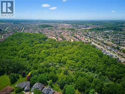 Expansive natural treed area surrounded by residential neighborhoods - 