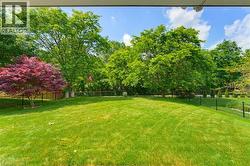 Spacious backyard featuring a manicured lawn, established perimeter trees, a vibrant red-leafed tree, and black metal fencing - 