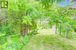 Rear yard with sloped lawn, mature trees, and natural foliage - 