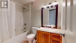 Lower Level Bath - 