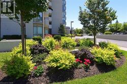 Beautiful flower gardens - 