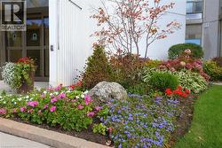 Summer view of garden near entrance - 