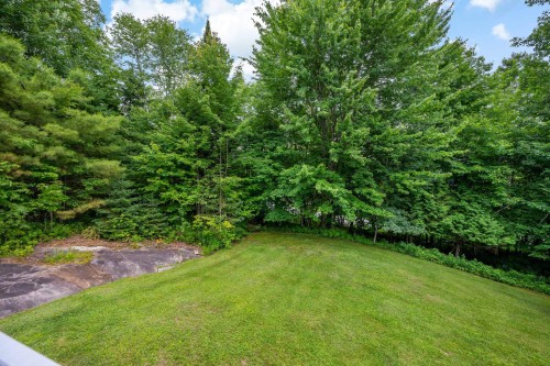 Cour - 130 Ch. Du Lac-Dufour, Mont-Tremblant, QC - Outdoor