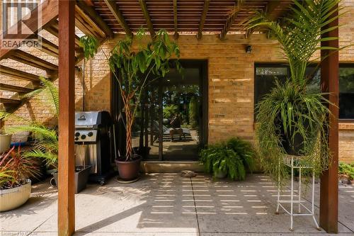 Concrete patio with wooden pergola, brick exterior, sliding glass door, and exterior windows - 355 Edgehill Drive, Kitchener, ON 