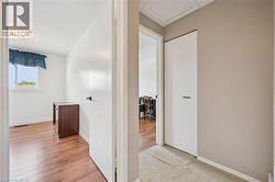 Hallway featuring light beige walls and carpeting, with white doors and black hardware - 
