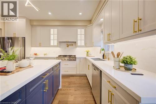 252 Gravel Ridge Trail, Kitchener, ON - Indoor Photo Showing Kitchen With Double Sink With Upgraded Kitchen