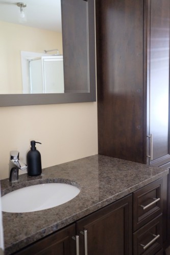 Bathroom - 763-763  - 765 12E Avenue, Montréal (Rivière-Des-Prairies/Pointe-Aux-Trembles), QC 
