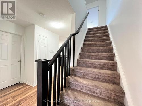 46 Renfrew Street, Kitchener, ON 