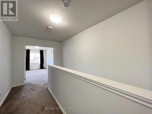 46 Renfrew Street, Kitchener, ON 