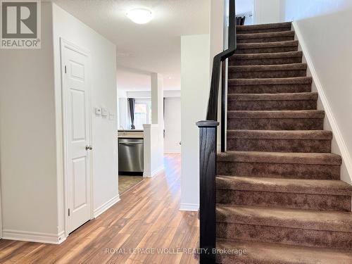 46 Renfrew Street, Kitchener, ON 