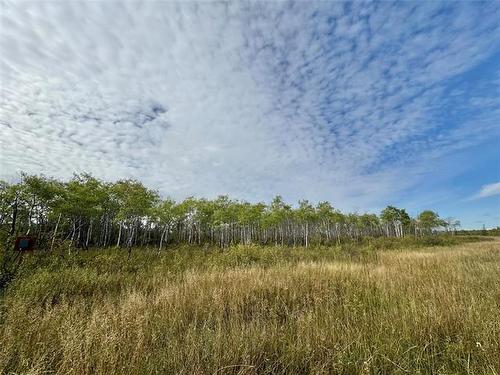 0 Pr 325 Rd, Ashern, MB 