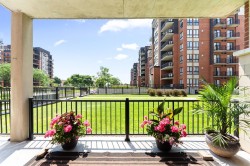 Terrasse - 