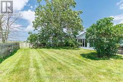 Backyard - 