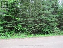 PT LT 49 OLD MOORE LAKE ROAD  Laurentian Hills, ON K0J 2H0