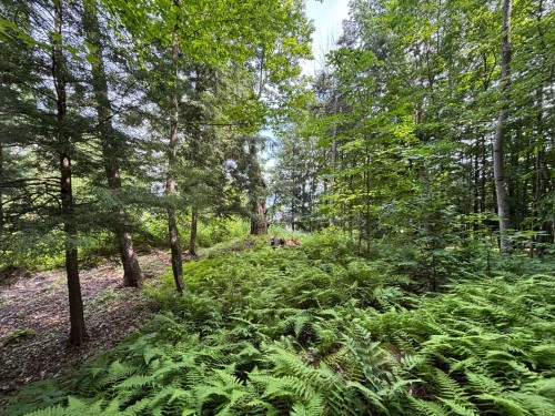 Terre/Terrain - Ch. Thompson, Sutton, QC 