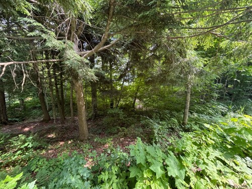 Terre/Terrain - Ch. Thompson, Sutton, QC 