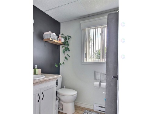 Powder room - 202-1000 Rue Westmount, Ayer'S Cliff, QC 