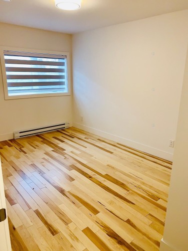 Bedroom - 1-2484 Rue Marie-Anne E., Montréal (Le Plateau-Mont-Royal), QC 