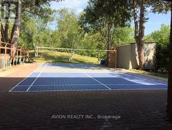 Backyard - 