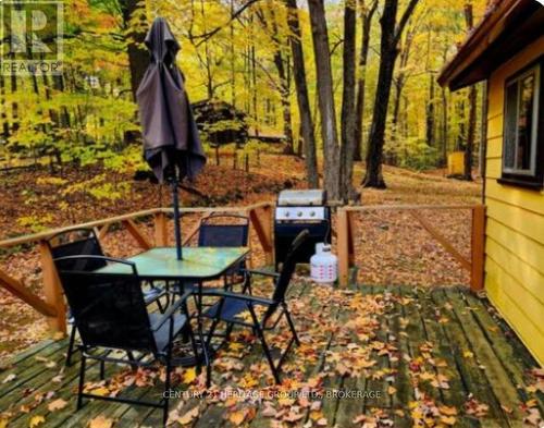 51A Thompson Lane, Rideau Lakes, ON 