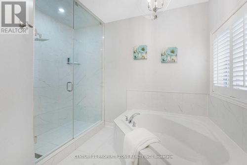 19 Bellcrest Road, Brampton, ON 