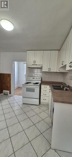 125 Broadway Avenue, Hamilton, ON - Indoor Photo Showing Kitchen With Double Sink