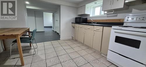125 Broadway Avenue, Hamilton, ON - Indoor Photo Showing Kitchen With Double Sink