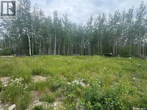 184 Eagle Point Drive, La Ronge, SK 
