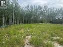 184 Eagle Point Drive, La Ronge, SK 