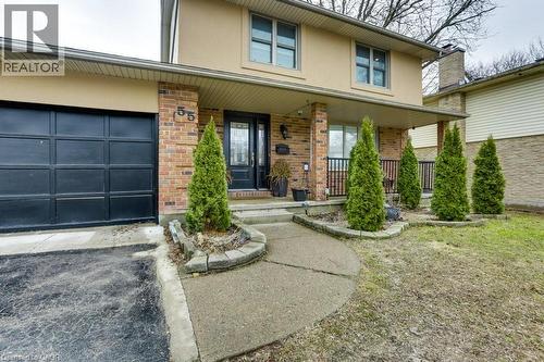 55 Wentworth Court, London, ON 